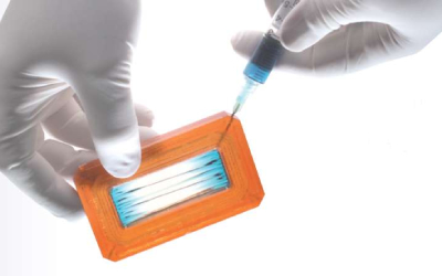 Диализ белков — инновационные устройства Thermo Fisher Scientific