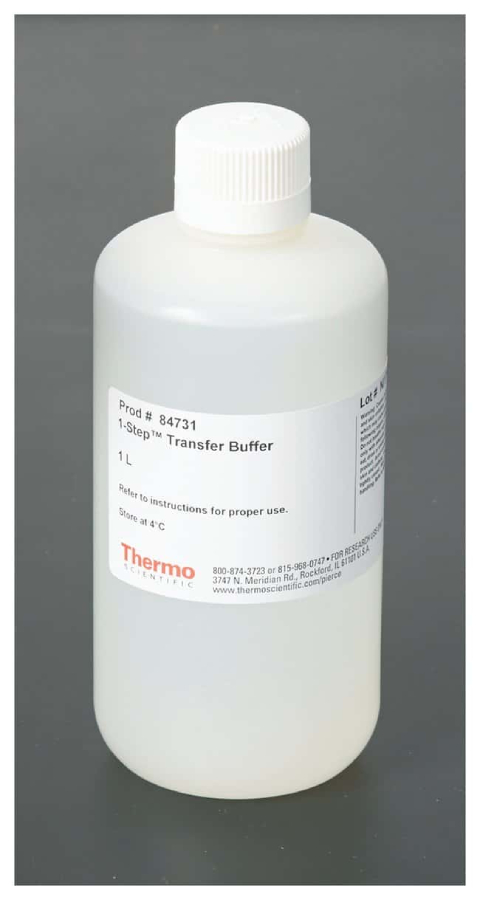 Transfer buffer. Transfer buffer