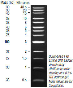 Маркер длин ДНК Quick-Load 1kb Extend DNA, 13 фрагментов от 500–48500 п.н.,...