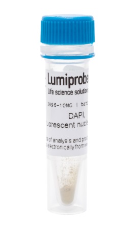 Краситель LumiNuc DAPI, для окраски ядер, раствор, 1 мг/мл в воде, 1 мл, Lumiprobe