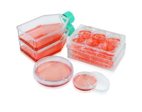 Флаконы культуральные 75 см² с низкой адгезией, 3DSphearo, 1 уп./60 шт., Jet Biofil