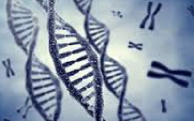 Invitrogen (Thermo Fisher Scientific) – продукция для молекулярной и клеточной биологии