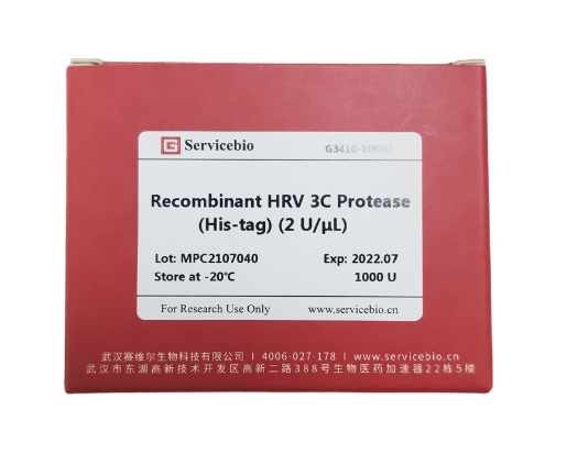 Протеаза HRV 3C (His-tag), рекомбинантная, 1000 е.а., Servicebio, Китай