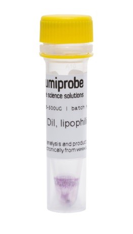 Краситель флуоресцентный RAPID DiI, липофильный, для мечения мембран и трассировки клеток, 5 мкг, Lumiprobe