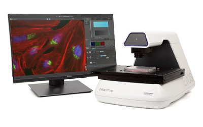 Новая система визуализации EVOS FL Auto 2, Thermo Fisher Scientific