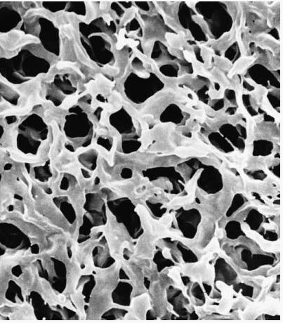 Мембрана, d пор 0,22 мкм, d мембраны 13 мм, поливинилиденфторид (PVDF), гидрофобная, нестерильная, 100 шт