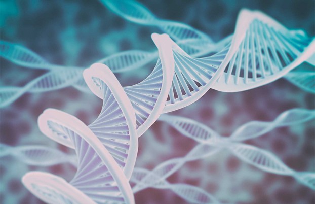 Modern solutions for genetic analysis in cancer diagnostics