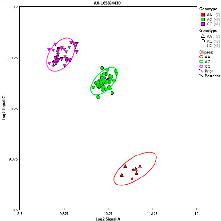AxiomAnalysis Suite