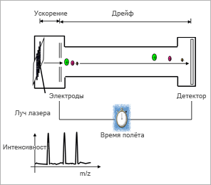 бакто2.gif