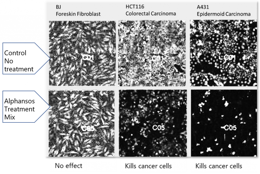 WECMEPS by Alphanosos destroys cancer cells