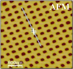 SNOM-2img.jpg