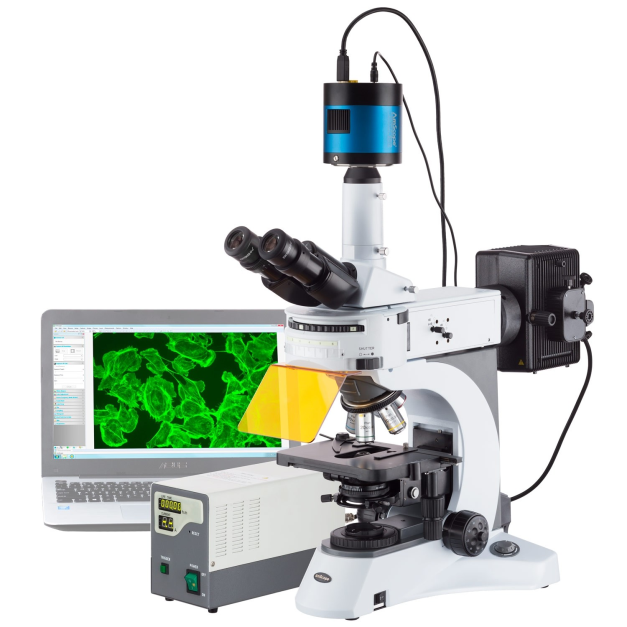 Fluorescence microscope