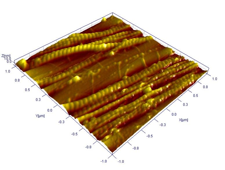 AFM_collagen-protein-fibers.jpg