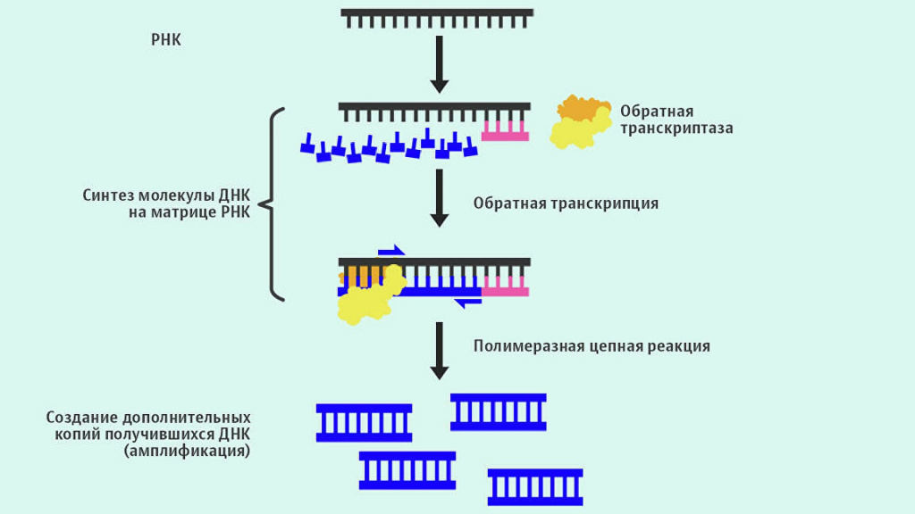 coronavirus diagnosis