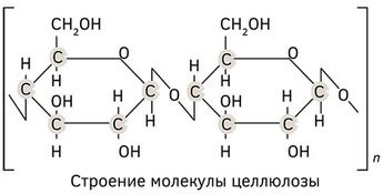 Строение молекулы целлюлозы Сырая клетчатка представляет собой совокупность веществ, образующих оболочки растительных клеток и обеспечивающих им жесткость и прочность.
