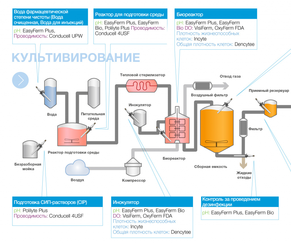 Биотехнологический процесс с этапами культивирования, выделения и очистки биомассы. На этапе культивирования, помимо рН и электропроводности, важно также измерять плотность жизнеспособных клеток и общую плотность клеток в биореакторе для контроля роста клеток Биотехнологический процесс с этапами культивирования, выделения и очистки биомассы. На этапе культивирования, помимо рН и электропроводности, важно также измерять плотность жизнеспособных клеток и общую плотность клеток в биореакторе для контроля роста клеток. Наиболее достоверная информация получается на лаг-фазе, а также фазе активного роста, до начала массовой гибели клеток. Также важно проводить измерение растворенного кислорода. Недостаток кислорода ведет к апоптозу или анаэробному разложению, существенно снижающему жизнеспособность клеток и выход продукта.