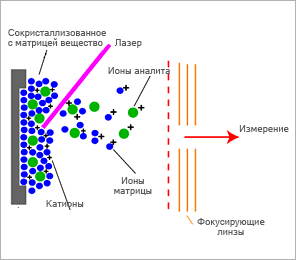 бакто3.gif
