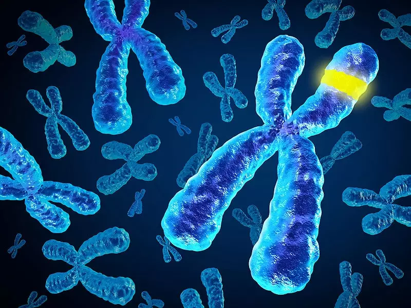 Chromosomal microarray analysis