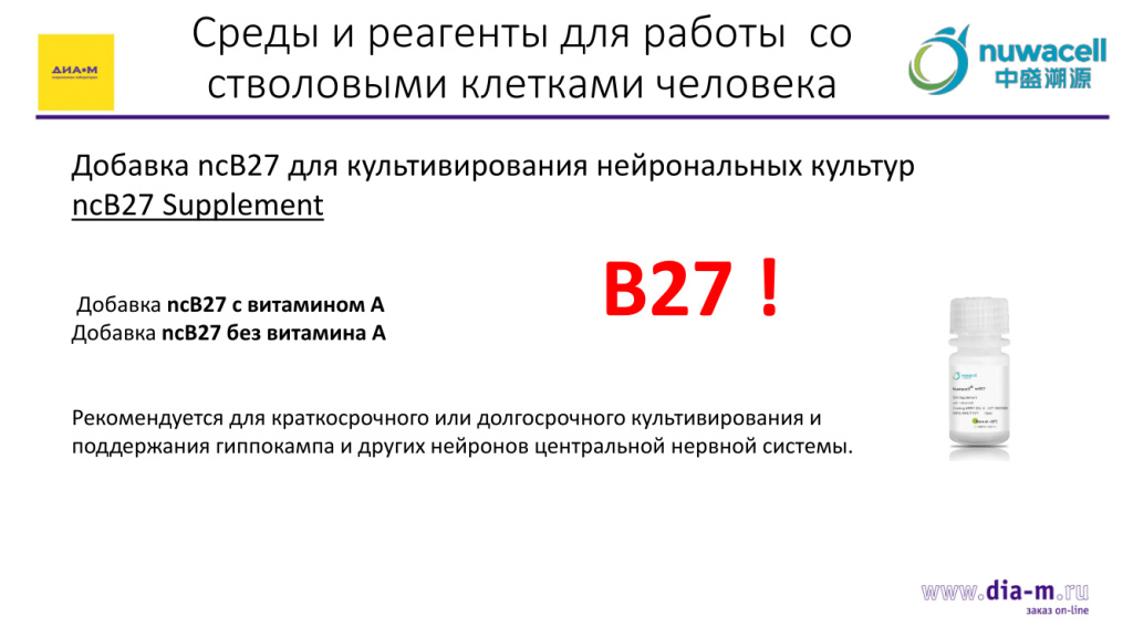 B27 для работы с нейрональными культурами