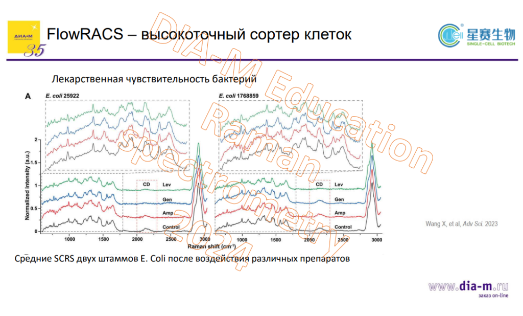 FlowRACS лекарственная чувствительность бактерий