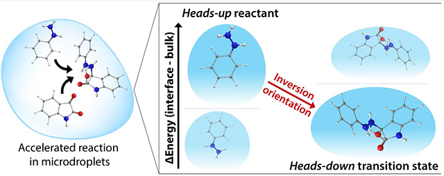 Application of QUAILModelling Software in Molecular Chemistry