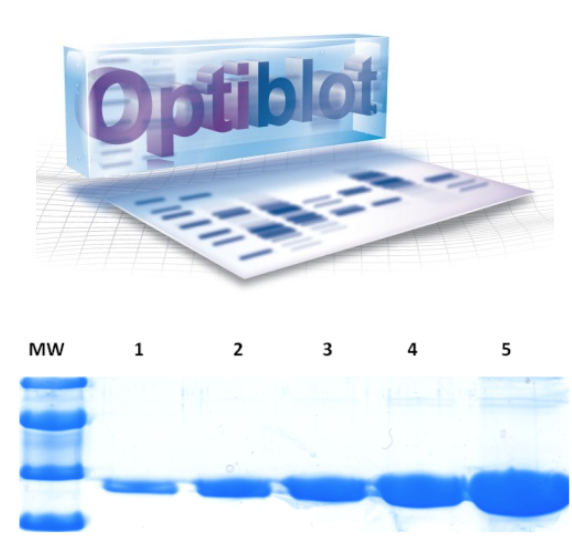 Optibot