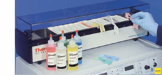 Автомат для окрашивания Linistat, Thermo FS