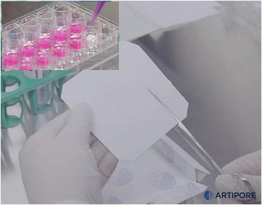 Клеточные матрицы (скаффолды) Bilaminate, невыровненные нановолокна, толщина нановолокна 12 мкм, толщина микроволокна 40 мкм