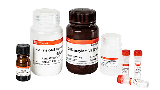 Набор реагентов для заливки гелей SDS-PAGE Fast Acrylamide Kit, 50 гелей, Servicebio, Китай