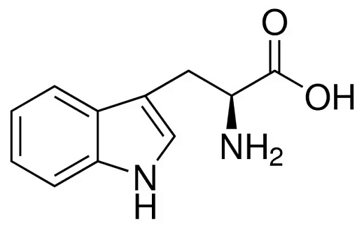 Триптофан-L, pure EP, USP, не менее 98,5 – 101,0%, pharma grade, Германия, NeoFroxx, 100 г