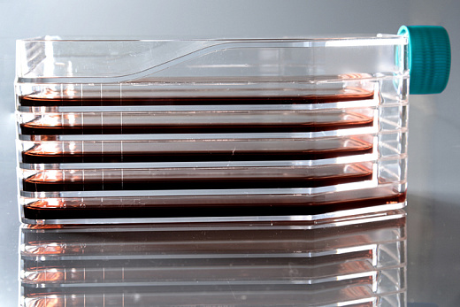 Распределение среды в 5-ти слойном культуральном флаконе