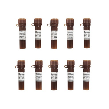 Реагент для удаления микоплазм Reagent Plus, 100×, 10×1 мл, Servicebio