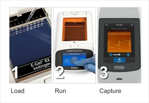 Гельдокументирующая система E-Gel Power Snap, 3 Мп, без электрофорезного блока Фото 2