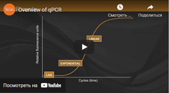 Обзор ПЦР в реальном времени, New England Biolabs, англ., 2016 г.