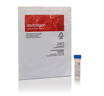 Краситель SYTO RNASelect Green Fluorescent cell Stain, 100 мкл, Thermo FS