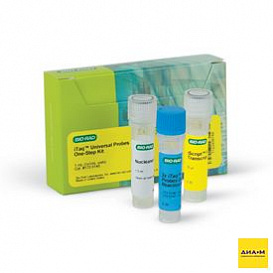 Набор iTaq Universal Probes One-Step Kit