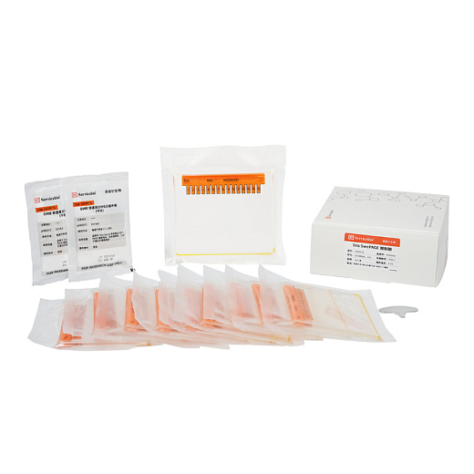 Гель для электрофореза белков полиакриламидный готовый Tris Swe Page Pre-Cast Gel, 15 лунок, 10%, Servicebio, Китай