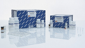 Набор для выделения ДНК из крови и биологических жидкостей QIAamp DNA Blood Mini Kit