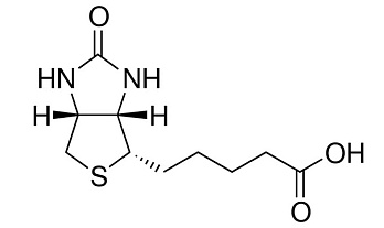 Биотин D(+), neoFroxx