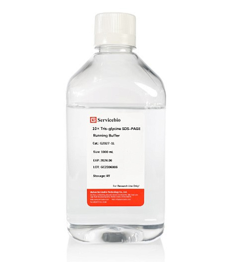 Буфер для электрофореза трис-глициновый с SDS, 10x концентрат, 1л, Servicebio, Китай