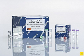 Набор FastLane Cell SYBR Green Kit 200
