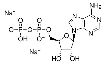АДФ-Na₂ (Аденозин- 5-дифосфат, ADP- Na₂) динатриевая соль
