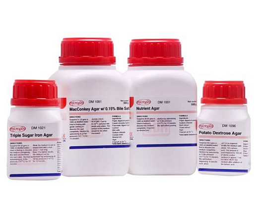 Агар Мюллер Хинтон № 2, CDH, Индия