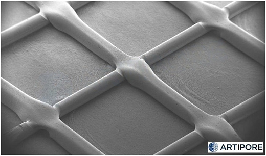 Диски для 3D культивирования полученные методом электроформования, невыровненные нановолокна, материал нанесен линейно, толщина подложки 60 мкм, 48 луночный планшет