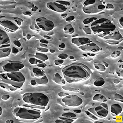 Фильтр, Экспресс, d пор 0,22 мкм, d мембраны 47 мм, 100 шт., Merck (Millipore)