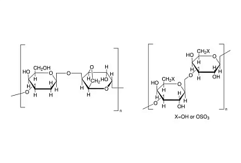 Агар/Agar Powder Bacteriological