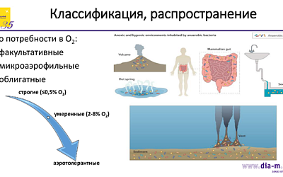 Культивирование анаэробов может быть удобным! Новые анаэробные станции Maworde (Китай) — особенности, преимущества, области применения