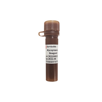 Реагент для профилактики микоплазмы Mycoplasma Prevention Reagent, 1000х, 5 мл, Servicebio