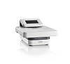 Система Pierce Power Blotter XL, Thermo FS