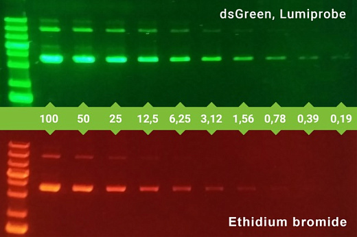 Краситель dsGreen раствор для прокраски гелей, 10000x, 1 мл, Lumiprobe
